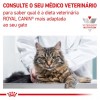 Royal Canin Calm para gatos 4Kg
