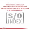 Royal Canin Calm para gatos 4Kg