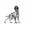Royal Canin Hepatic Canine 12Kg