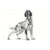 Royal Canin Hypoallergenic Canine Moderate calorie 14Kg