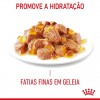 Royal Canin Urinary Care (Gravy), Gatos, Húmidos, Adulto, Alimento