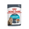Royal Canin Urinary Care (Gravy), Gatos, Húmidos, Adulto, Alimento