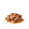 Royal Canin Urinary Care (Gravy), Gatos, Húmidos, Adulto, Alimento