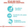 Royal Canin Urinary Care (Gravy), Gatos, Húmidos, Adulto, Alimento