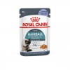 Royal Canin Hairball Care (Jelly), Gatos, Húmidos, Adulto, Alimento