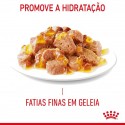 Royal Canin Hairball Care (Jelly), Gatos, Húmidos, Adulto, Alimento