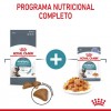 Royal Canin Hairball Care (Jelly), Gatos, Húmidos, Adulto, Alimento