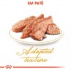 Royal Canin Persa (Loaf), Gatos, Húmidos, Alimento