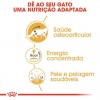 Royal Canin Maine Coon (Loaf), Gatos, Húmidos, Alimento