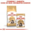 Royal Canin Maine Coon (Loaf), Gatos, Húmidos, Alimento