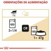 Royal Canin Maine Coon (Loaf), Gatos, Húmidos, Alimento