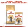 Royal Canin British Shorthair (Loaf), Gatos, Húmidos, Alimento