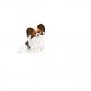Royal Canin X-small Adult, Cão, Húmidos, Adulto, Alimento