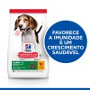 Hill's Science Plan Puppy Medium 12kg