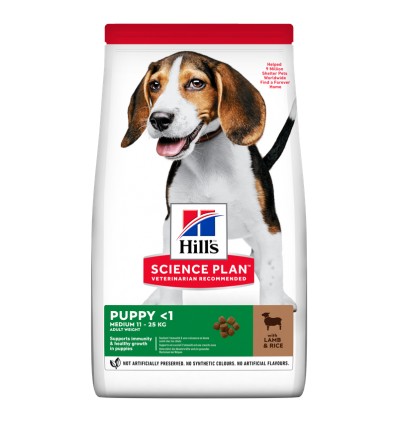 Hill's Science Plan Cão Puppy Medium Borrego