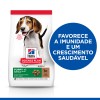 Hill's Science Plan Cão Puppy Medium Borrego