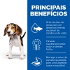 Hill's Science Plan Cão Puppy Medium Borrego