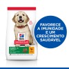 Hill's Science Plan Puppy Large Breed 11kg