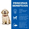 Hill's Science Plan Puppy Large Breed 11kg