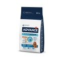 Advance Cão Médium Adulto Frango e Arroz 14+3KG
