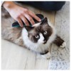 Trixie Escova Macia "onda" para cães e gatos 19cm