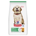 Hill's Science Plan Cão Puppy Large Breed Frango