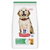 Hill's Science Plan Puppy Large Breed 11kg