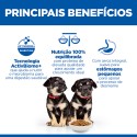 Hill's Science Plan Cão Puppy Perfect Digestion Medium Frango