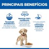 Hill's Science Plan Cão Puppy Perfect Digestion Large Breed Frango