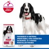 Hill's Science Plan Canine Medium Adult Borrego 12kg