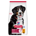 Hill's Science Plan Cão Adulto Large Breed Frango