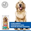 Hill's Science Plan Canine Large Breed Perfect Weight 12kg 