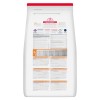 Hill´s Science Plan Feline Adult Chicken 10kg 