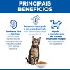 Hill´s Science Plan Feline Adult Chicken 10kg 