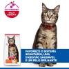 Hill´s Science Plan Feline Adult Chicken 10kg 
