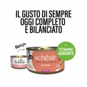 Schesir Gato Húmidos Complete Nutrition in broth Salmão