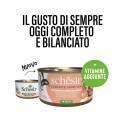 Schesir Gato Húmidos Complete Nutrition in jelly Atum com Salmão