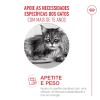 Royal Canin Ageing 15+, Gato, Seco, Sénior, Alimento/Ração