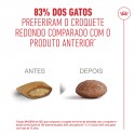 Royal Canin Ageing 15+, Gato, Seco, Sénior, Alimento/Ração