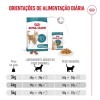 Royal Canin Ageing 15+, Gato, Seco, Sénior, Alimento/Ração