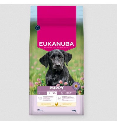 Eukanuba Cão Puppy Large