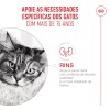 Royal Canin Ageing +15 (Mousse), Gatos, Húmidos, Sénior, Alimento
