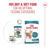 Royal Canin Ageing +15 (Mousse), Gatos, Húmidos, Sénior, Alimento