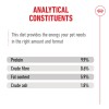 Royal Canin Ageing +15 (Mousse), Gatos, Húmidos, Sénior, Alimento