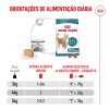 Royal Canin Ageing +15 (Mousse), Gatos, Húmidos, Sénior, Alimento