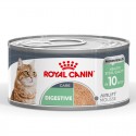 Royal Canin Digestive Care (Mousse), Gatos, Húmidos, Adulto, Alimento