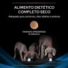 Purina Pro Plan VET Cão DRM Dermatosis