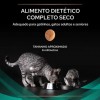 Purina Pro Plan VET Gato EN Gastrointestinal