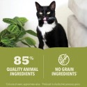 Acana Gato húmidos vaca