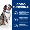 Hill's Science Plan Cão Adulto Perfect Digestion Medium Frango